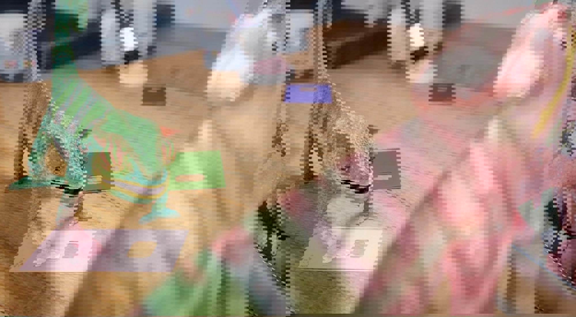 Garantie Satisfaction Couleur