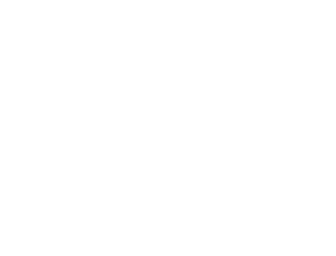 Shake The Flags